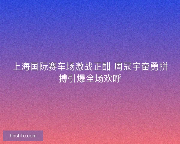 上海国际赛车场激战正酣 周冠宇奋勇拼搏引爆全场欢呼