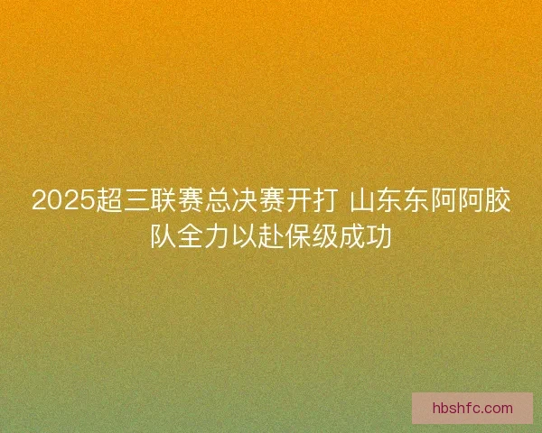 2025超三联赛总决赛开打 山东东阿阿胶队全力以赴保级成功