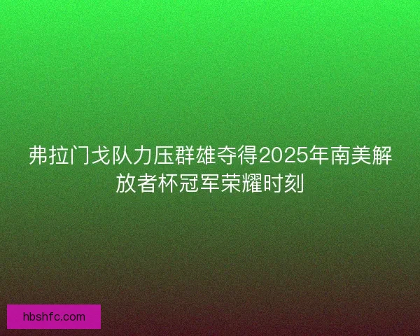 弗拉门戈队力压群雄夺得2025年南美解放者杯冠军荣耀时刻 弗拉门戈队力压群雄夺得2025年南美解放者杯冠军荣耀时刻