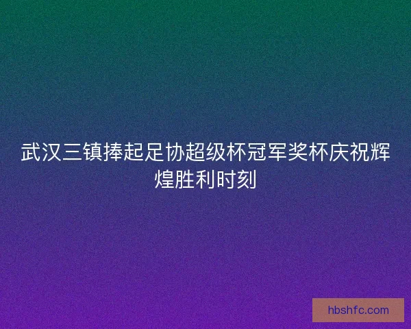 武汉三镇捧起足协超级杯冠军奖杯庆祝辉煌胜利时刻